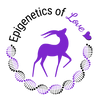 Drgazelle.de
